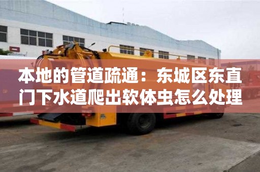 本地的管道疏通：東城區(qū)東直門下水道爬出軟體蟲怎么處理