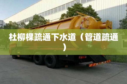 杜柳棵疏通下水道（管道疏通）
