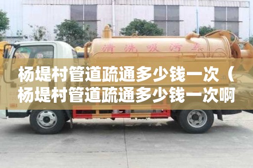 楊堤村管道疏通多少錢一次（楊堤村管道疏通多少錢一次啊）