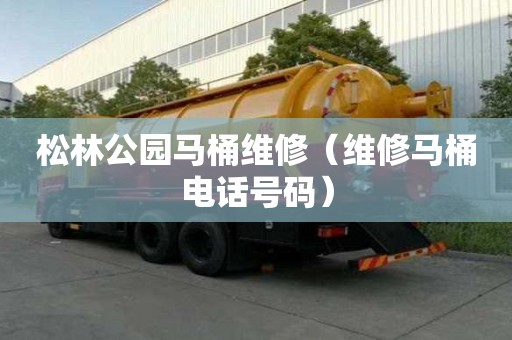 松林公園馬桶維修（維修馬桶電話號碼）