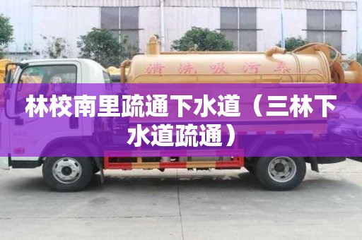 林校南里疏通下水道（三林下水道疏通）