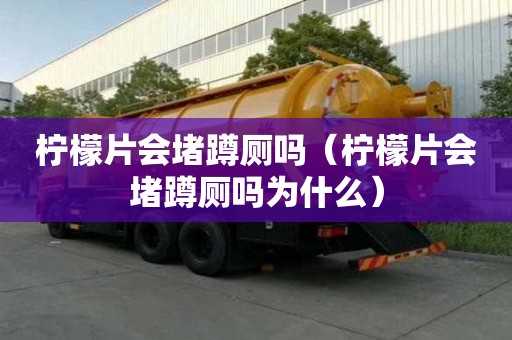 檸檬片會堵蹲廁嗎（檸檬片會堵蹲廁嗎為什么）