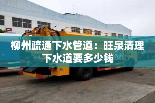 柳州疏通下水管道：旺泉清理下水道要多少錢