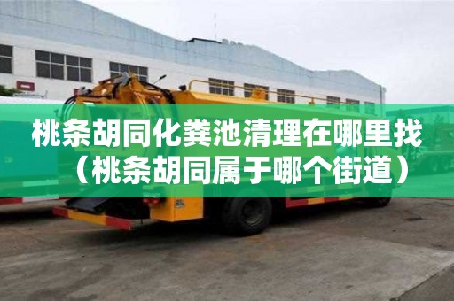 桃條胡同化糞池清理在哪里找（桃條胡同屬于哪個街道）