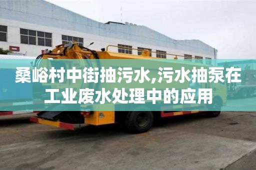 桑峪村中街抽污水,污水抽泵在工業廢水處理中的應用