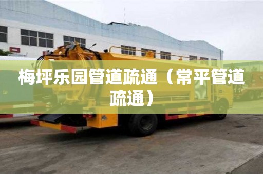 梅坪樂園管道疏通（常平管道疏通）