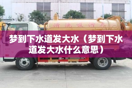 夢(mèng)到下水道發(fā)大水（夢(mèng)到下水道發(fā)大水什么意思）