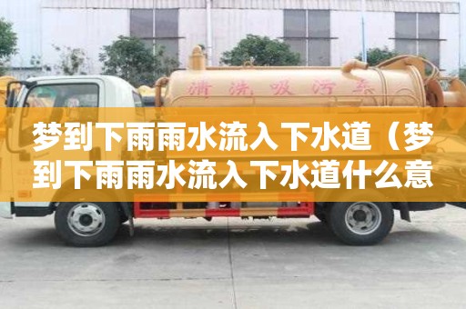 夢到下雨雨水流入下水道（夢到下雨雨水流入下水道什么意思）