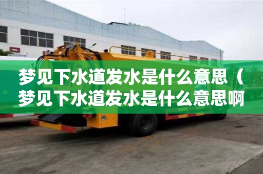 夢見下水道發(fā)水是什么意思（夢見下水道發(fā)水是什么意思啊）