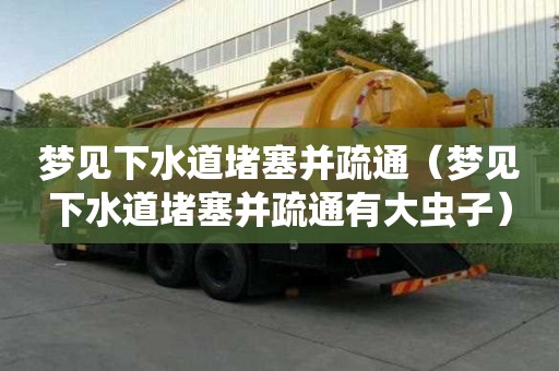 夢(mèng)見(jiàn)下水道堵塞并疏通（夢(mèng)見(jiàn)下水道堵塞并疏通有大蟲(chóng)子）