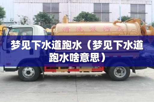 夢見下水道跑水（夢見下水道跑水啥意思）