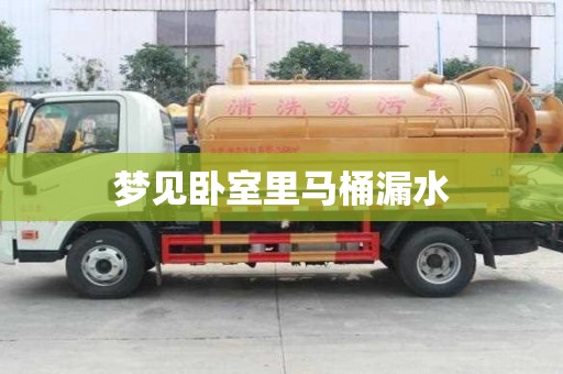 夢見臥室里馬桶漏水
