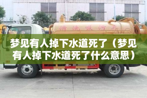 夢見有人掉下水道死了（夢見有人掉下水道死了什么意思）