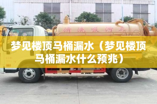 夢見樓頂馬桶漏水（夢見樓頂馬桶漏水什么預兆）