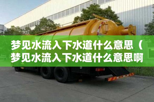 夢見水流入下水道什么意思（夢見水流入下水道什么意思啊）