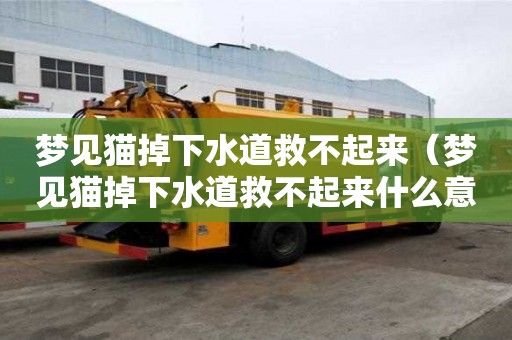 夢見貓掉下水道救不起來（夢見貓掉下水道救不起來什么意思）