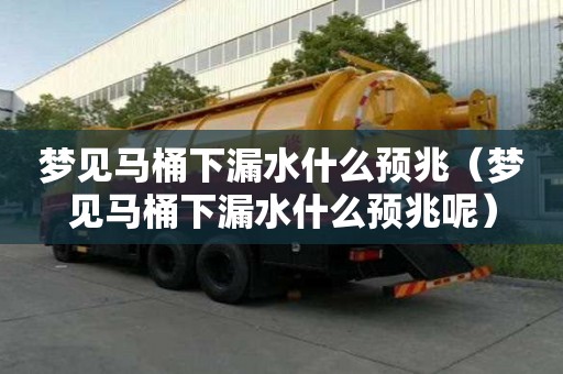 夢(mèng)見馬桶下漏水什么預(yù)兆（夢(mèng)見馬桶下漏水什么預(yù)兆呢）