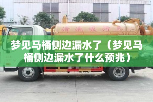 夢見馬桶側邊漏水了（夢見馬桶側邊漏水了什么預兆）