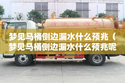 夢見馬桶側邊漏水什么預兆（夢見馬桶側邊漏水什么預兆呢）