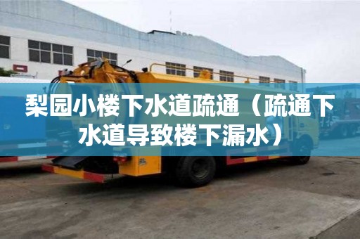 梨園小樓下水道疏通（疏通下水道導致樓下漏水）