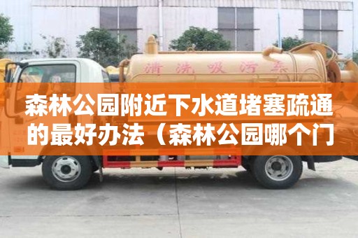 森林公園附近下水道堵塞疏通的最好辦法（森林公園哪個門離水近）