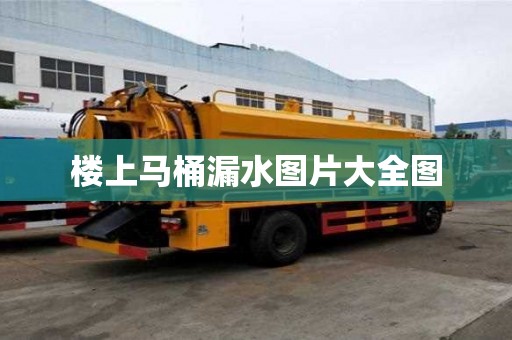 樓上馬桶漏水圖片大全圖