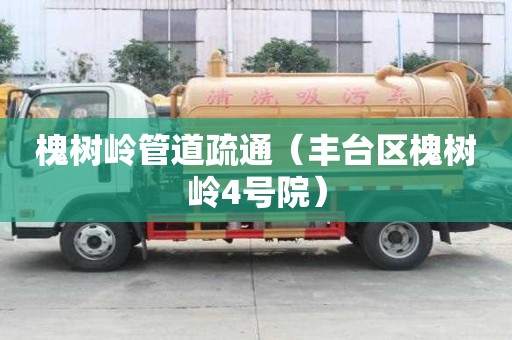 槐樹嶺管道疏通（豐臺(tái)區(qū)槐樹嶺4號(hào)院）