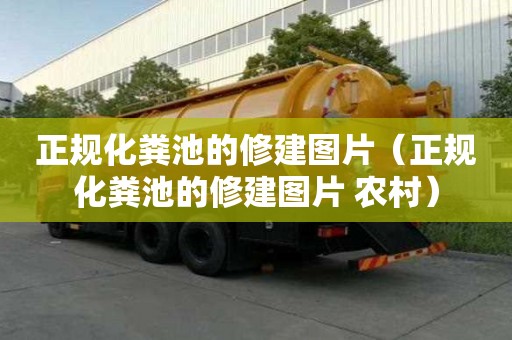正規化糞池的修建圖片（正規化糞池的修建圖片 農村）