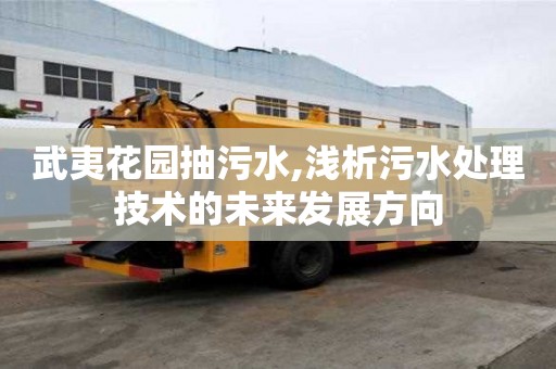 武夷花園抽污水,淺析污水處理技術的未來發展方向