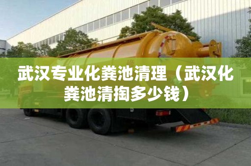 武漢專業(yè)化糞池清理（武漢化糞池清掏多少錢）