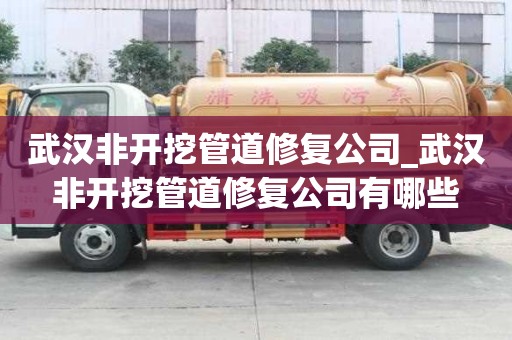 武漢非開挖管道修復公司_武漢非開挖管道修復公司有哪些