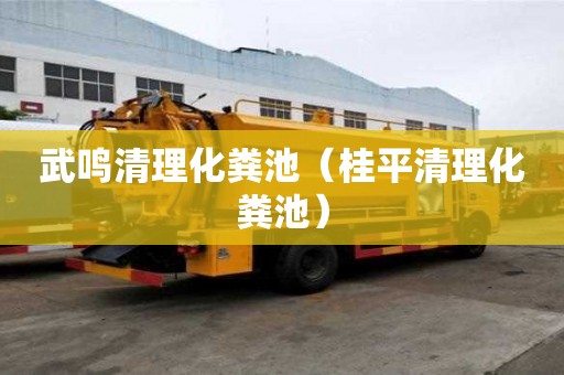 武鳴清理化糞池（桂平清理化糞池）