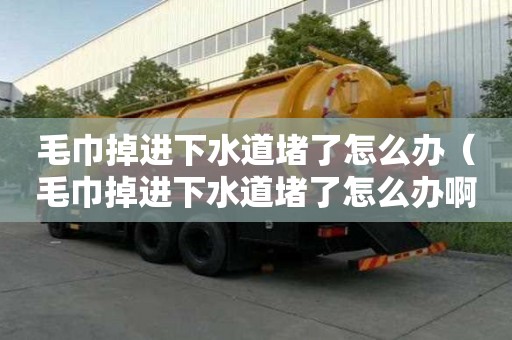 毛巾掉進(jìn)下水道堵了怎么辦（毛巾掉進(jìn)下水道堵了怎么辦啊）