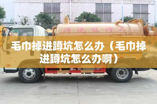 毛巾掉進蹲坑怎么辦（毛巾掉進蹲坑怎么辦啊）