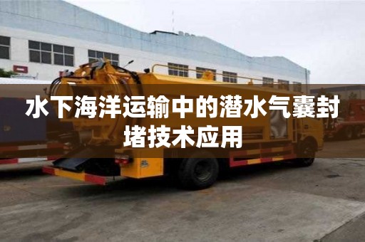 水下海洋運輸中的潛水氣囊封堵技術應用