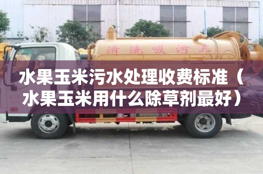 水果玉米污水處理收費標準（水果玉米用什么除草劑最好）