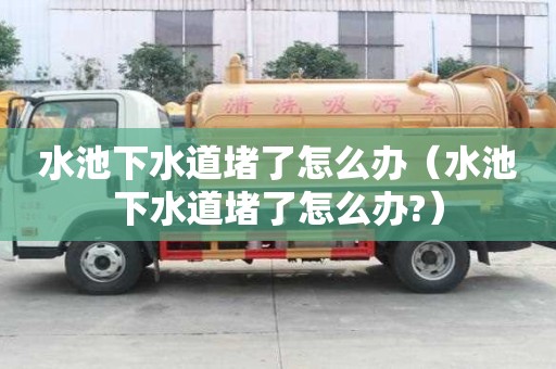 水池下水道堵了怎么辦（水池下水道堵了怎么辦?）