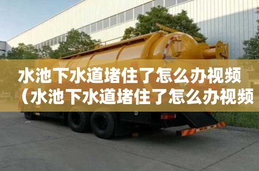 水池下水道堵住了怎么辦視頻（水池下水道堵住了怎么辦視頻講解）