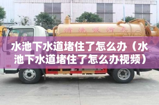 水池下水道堵住了怎么辦（水池下水道堵住了怎么辦視頻）