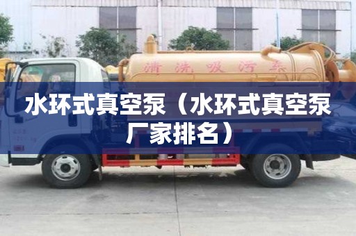 水環式真空泵（水環式真空泵廠家排名）
