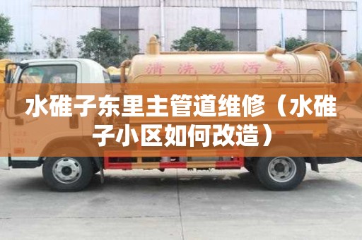 水碓子東里主管道維修（水碓子小區如何改造）