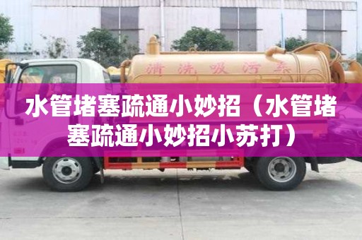水管堵塞疏通小妙招(水管堵塞疏通小妙招小蘇打) 水管堵塞疏通小妙招(水管堵塞疏通小妙招小蘇打)