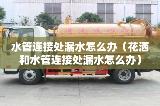 水管連接處漏水怎么辦（花灑和水管連接處漏水怎么辦）
