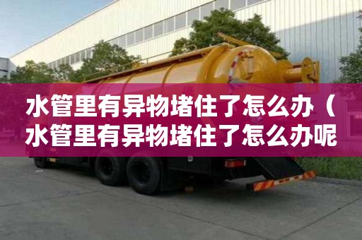 水管里有異物堵住了怎么辦（水管里有異物堵住了怎么辦呢）
