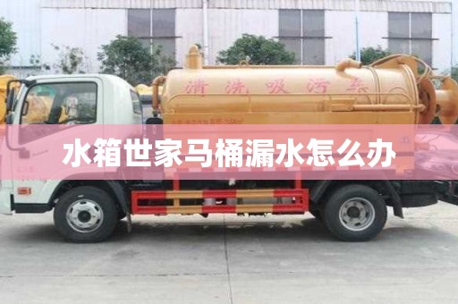 水箱世家馬桶漏水怎么辦