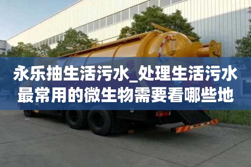 永樂抽生活污水_處理生活污水最常用的微生物需要看哪些地方