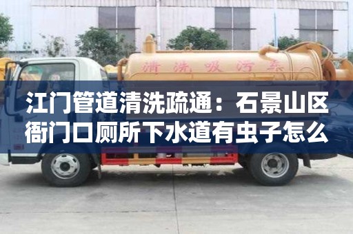 江門管道清洗疏通：石景山區(qū)衙門口廁所下水道有蟲子怎么處理