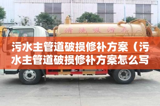 污水主管道破損修補方案（污水主管道破損修補方案怎么寫）