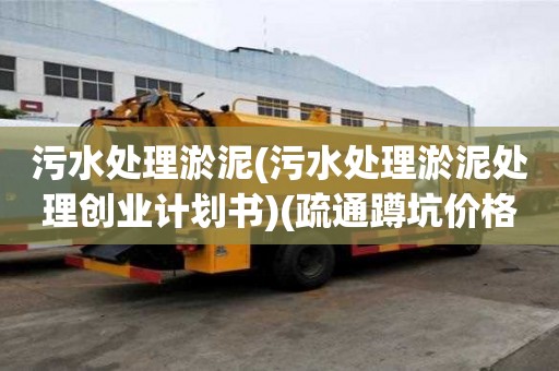 污水處理淤泥(污水處理淤泥處理創業計劃書)(疏通蹲坑價格表)