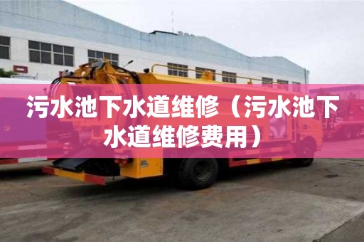 污水池下水道維修（污水池下水道維修費用）
